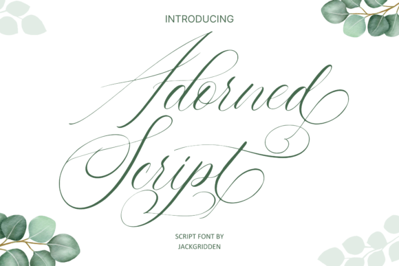 Adorned Script: The Elegant Font for Memorable Designs