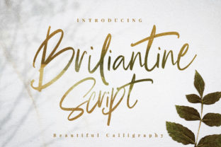 Briliantine Script: A Stylish Tool for Modern Brands