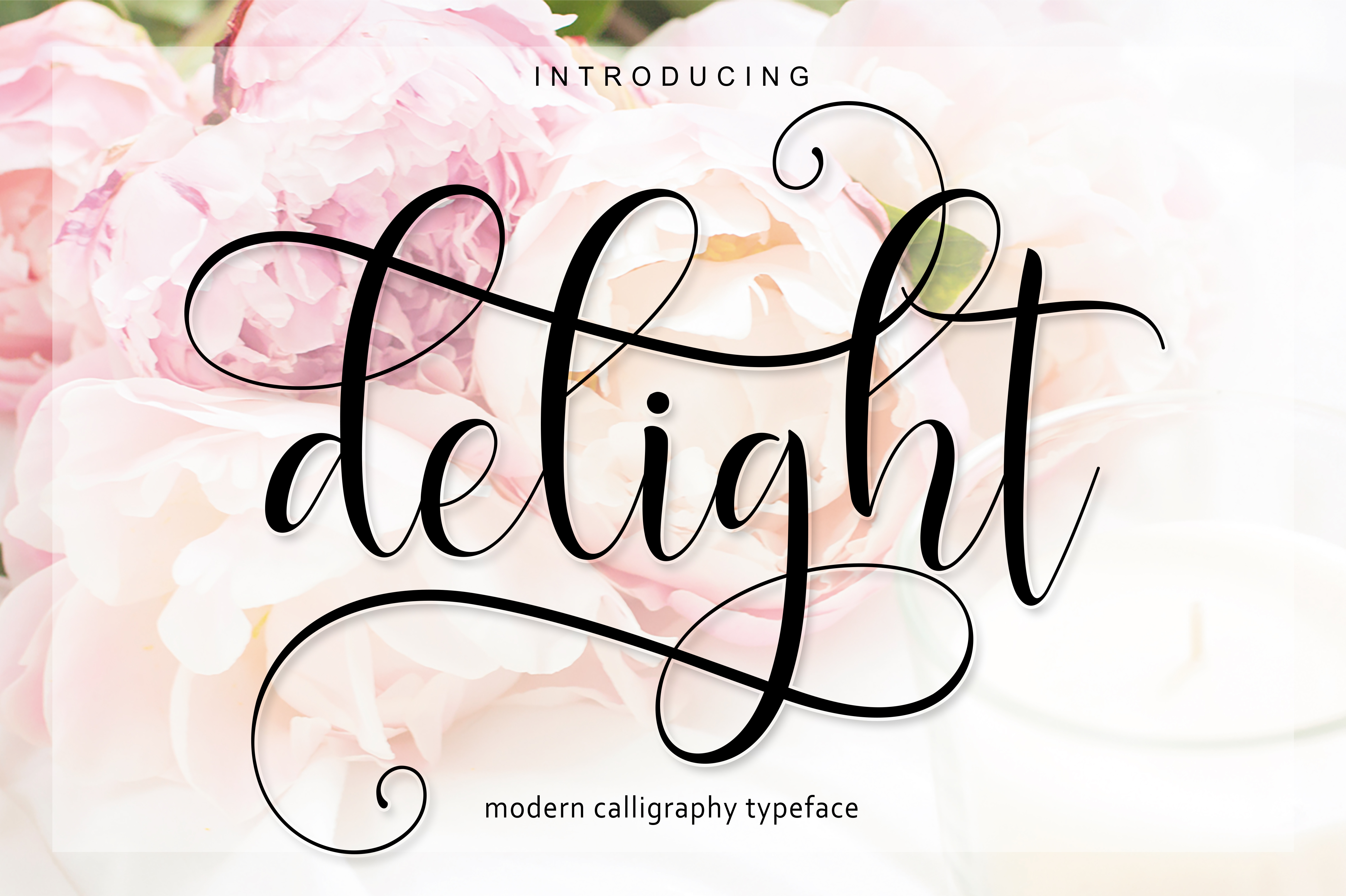 Delight Script: A Font Family for Creative Professionals