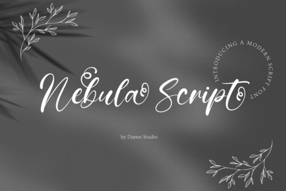 Nebula Script: The Modern Script Font for Elegant Branding