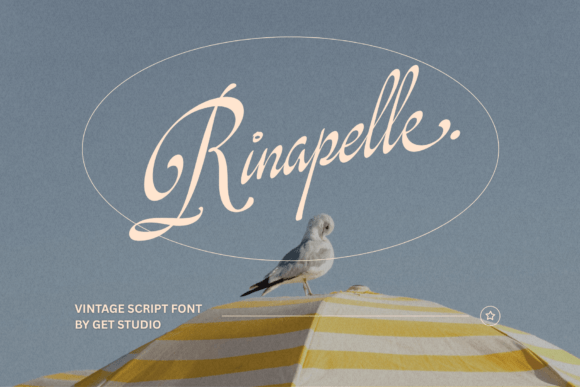 Rinapelle Script: Weaving Vintage Charm into Modern Design